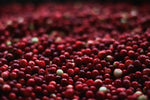 Cranberry Tablets and Immune Support: Strengthening the Body's Defenses - Genetic Nutrition