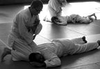Martial Arts Nutritional Supplements: Enhancing Strength and Recovery - Genetic Nutrition