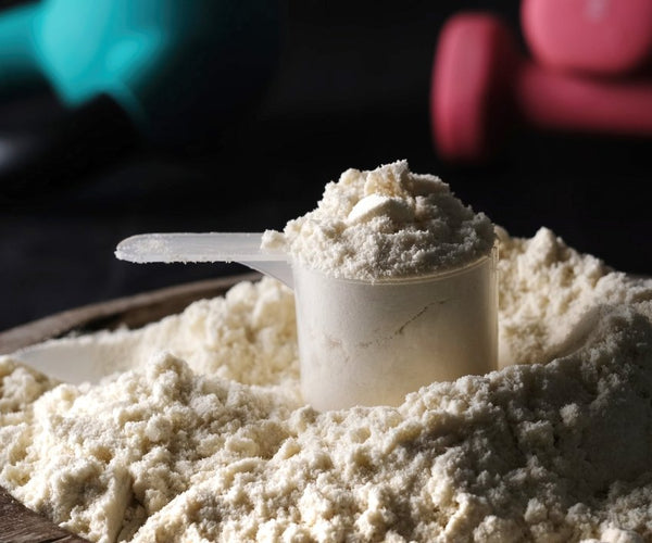 Can I Take Whey Protein Without Workout? Pros and Cons Explored Nutrition