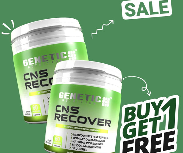 Understanding CNS Recovery Nutrition