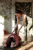 Best Recovery Tips After an Aerobics Session - Genetic Nutrition