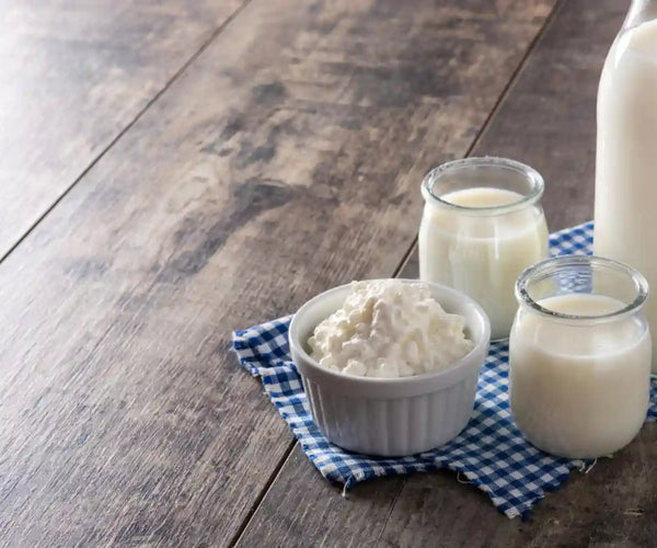 Digestive Enzymes vs. Probiotics Optimize Gut Health Nutrition