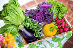 Discovering High-Protein Options in Vegetarian Diets - Genetic Nutrition