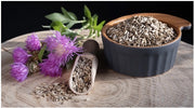 Is Milk Thistle Good for Bodybuilding? - Genetic Nutrition