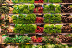 Leafy Greens: Plant-Based Sources of Vitamin B7 for Vegans and Vegetarians - Genetic Nutrition