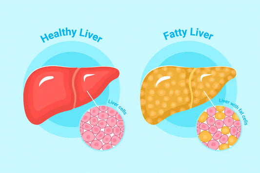 Liver Detox Supplements: Exploring Their Role in Liver Health and Function - Genetic Nutrition
