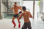 Nutrition Tips for Martial Artists - Genetic Nutrition