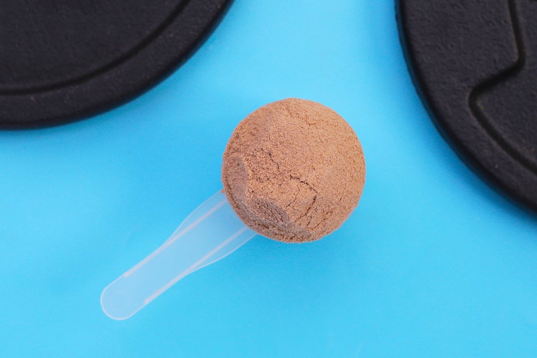 Demystifying Protein Powder Scoop Sizes Your Quick Guide