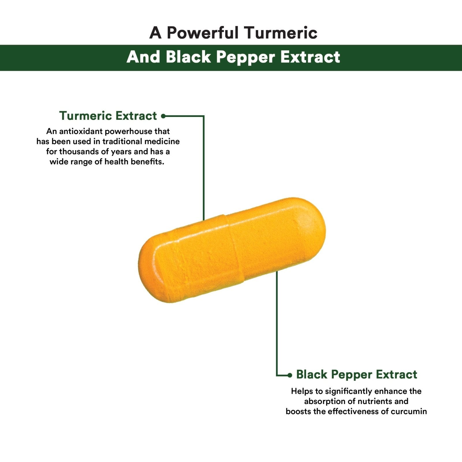 MEGA CURCUMIN PLUS 30CAPS - Genetic Nutrition