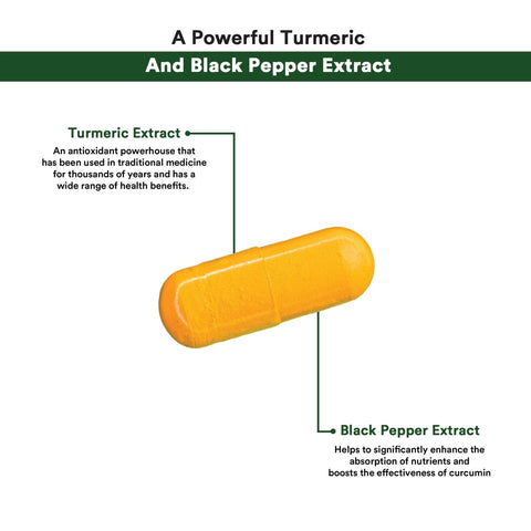 MEGA CURCUMIN PLUS 30CAPS - Genetic Nutrition