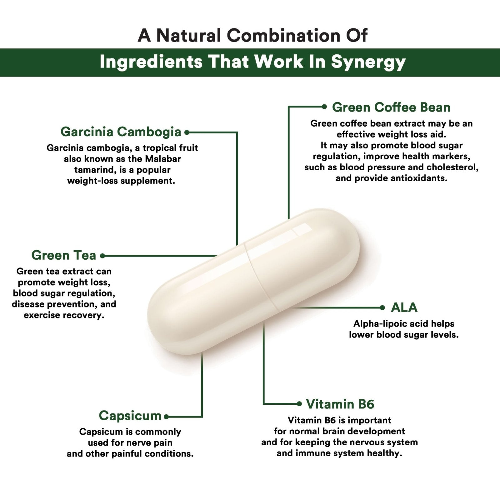 MEGA GARCINIA CAMBOGIA 30CAPS - Genetic Nutrition