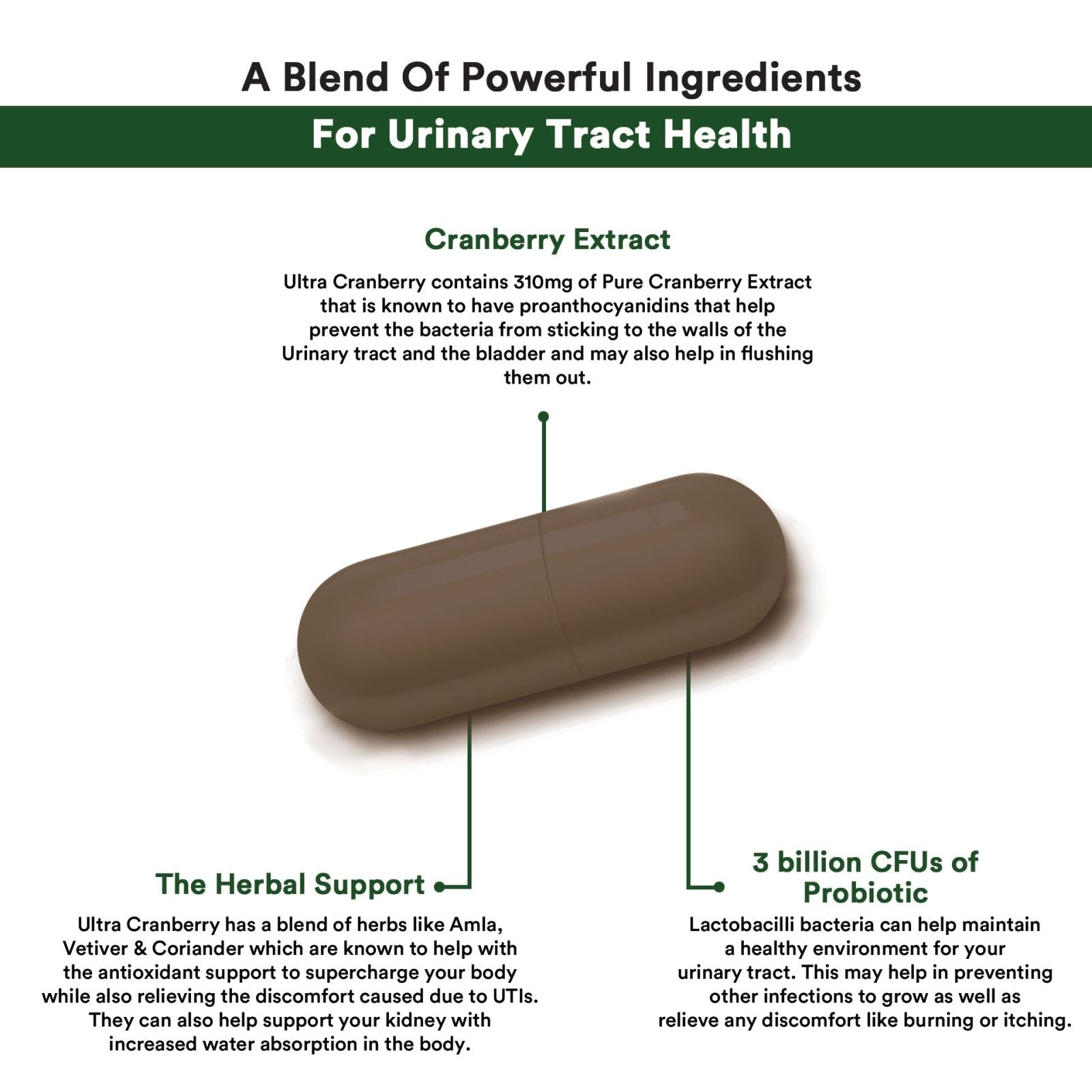 ULTRA CRANBERRY 30CAPS - Genetic Nutrition